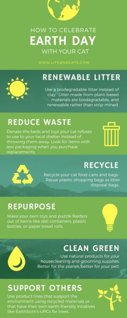 green infographic earth day
