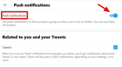 click on “Push Notifications”