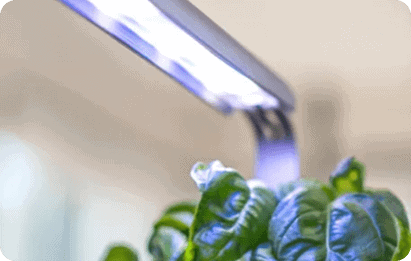 Lampe led du potager Cultive