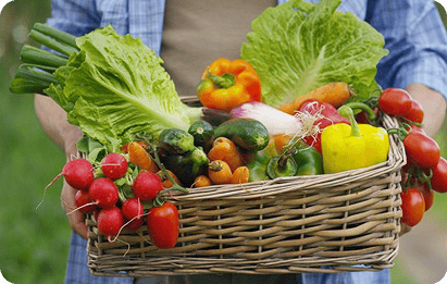 panier de ffruits et legumes