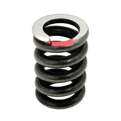 TrueBrake V2 Main Spring - Red - 38kg (A)