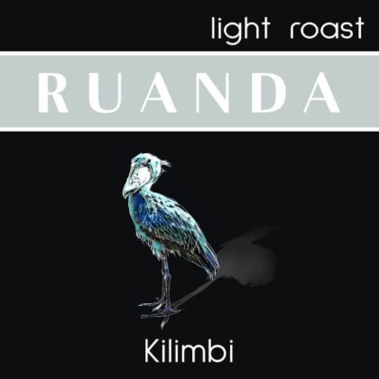 Schuhschnabel mit Schatten auf schwarzem Hintergrund