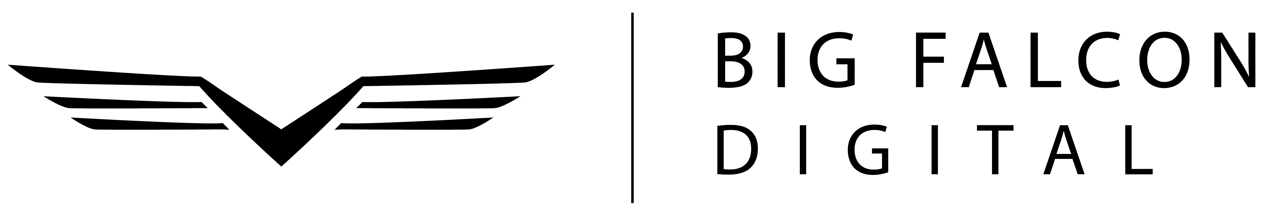 Big Falcon Digital logo