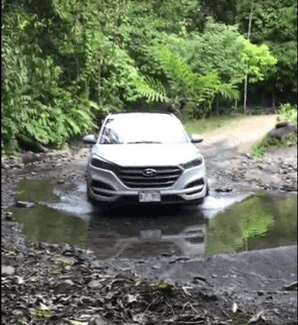 crossing the river in costa rica