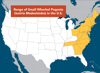 U.S. map showing the range of Small Whorled Pogonia (Isotria medeoloides), with states highlighted in gold across the northeastern U.S. and scattered Appalachian states where this federally threatened orchid species is found.
