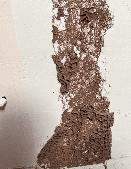 Mud tubes and termite damage on interior wall in Boise Idaho home