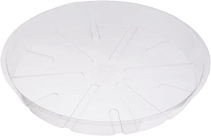 A transparent round plastic lid with ventilation slots.