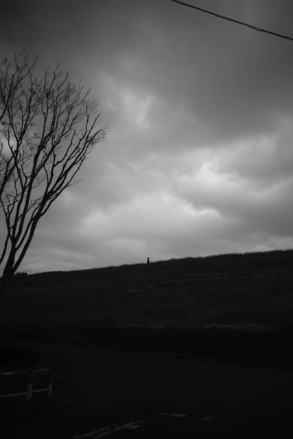 Leica Summaron 35mm F3.5L 前期 Review作例 ライカ戦後初
