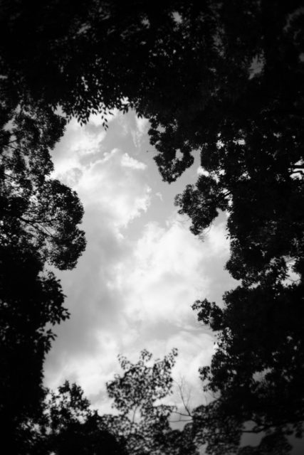 Summaron 35mm f2.8 レビュー作例 描写の特徴 ライカMマウント
