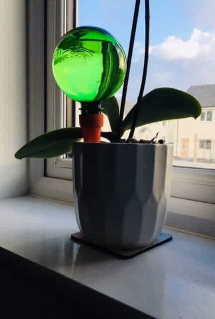 Plantpal watering globe