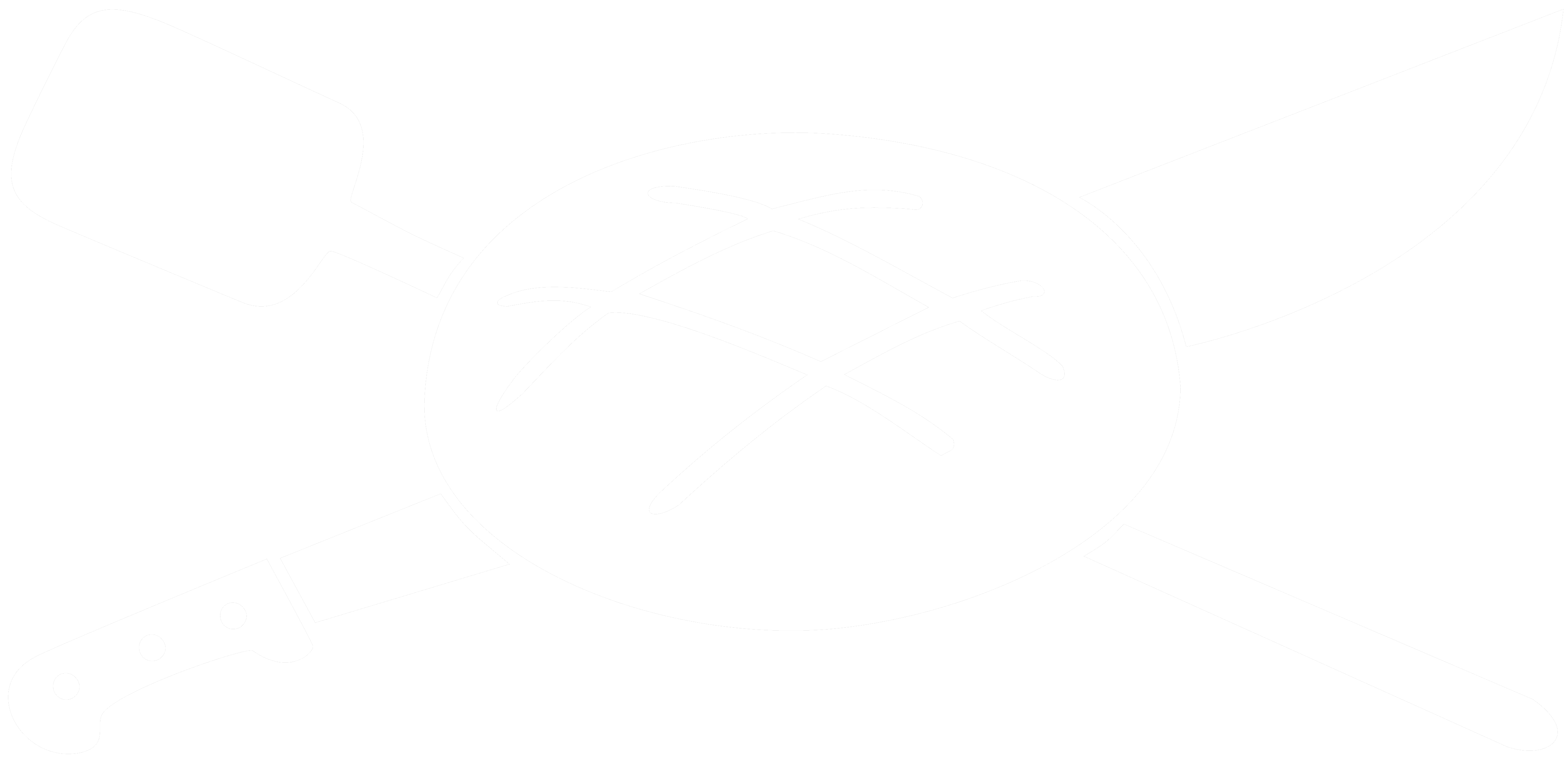Logo de Pain Pirate