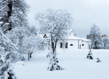 winter pest control in Boise