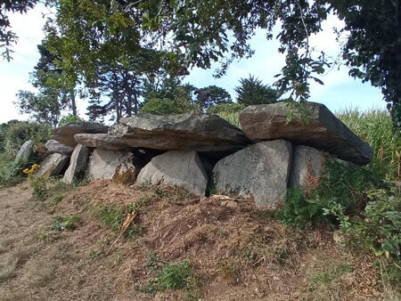 Allée couverte