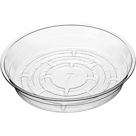Clear plastic round tray with concentric circular design.