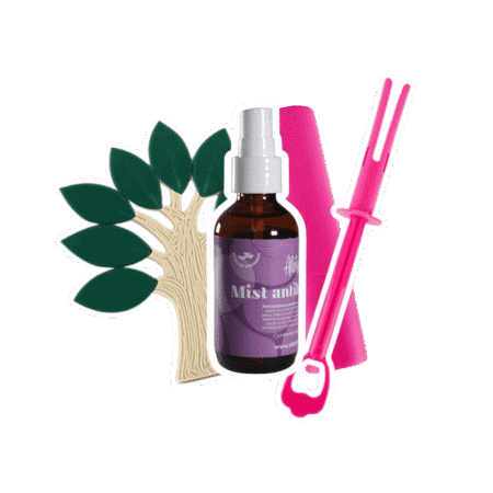 Kit de Accesorios Complementario