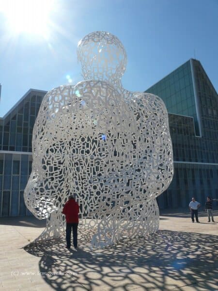 soul de ebro zaragosa @lemonicks.com