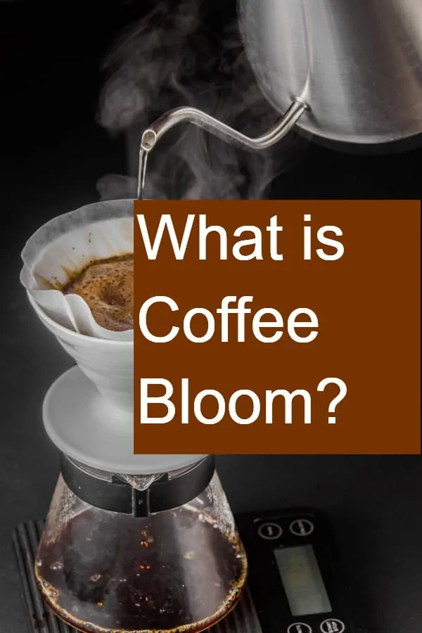 What is Coffee Bloom - Pin