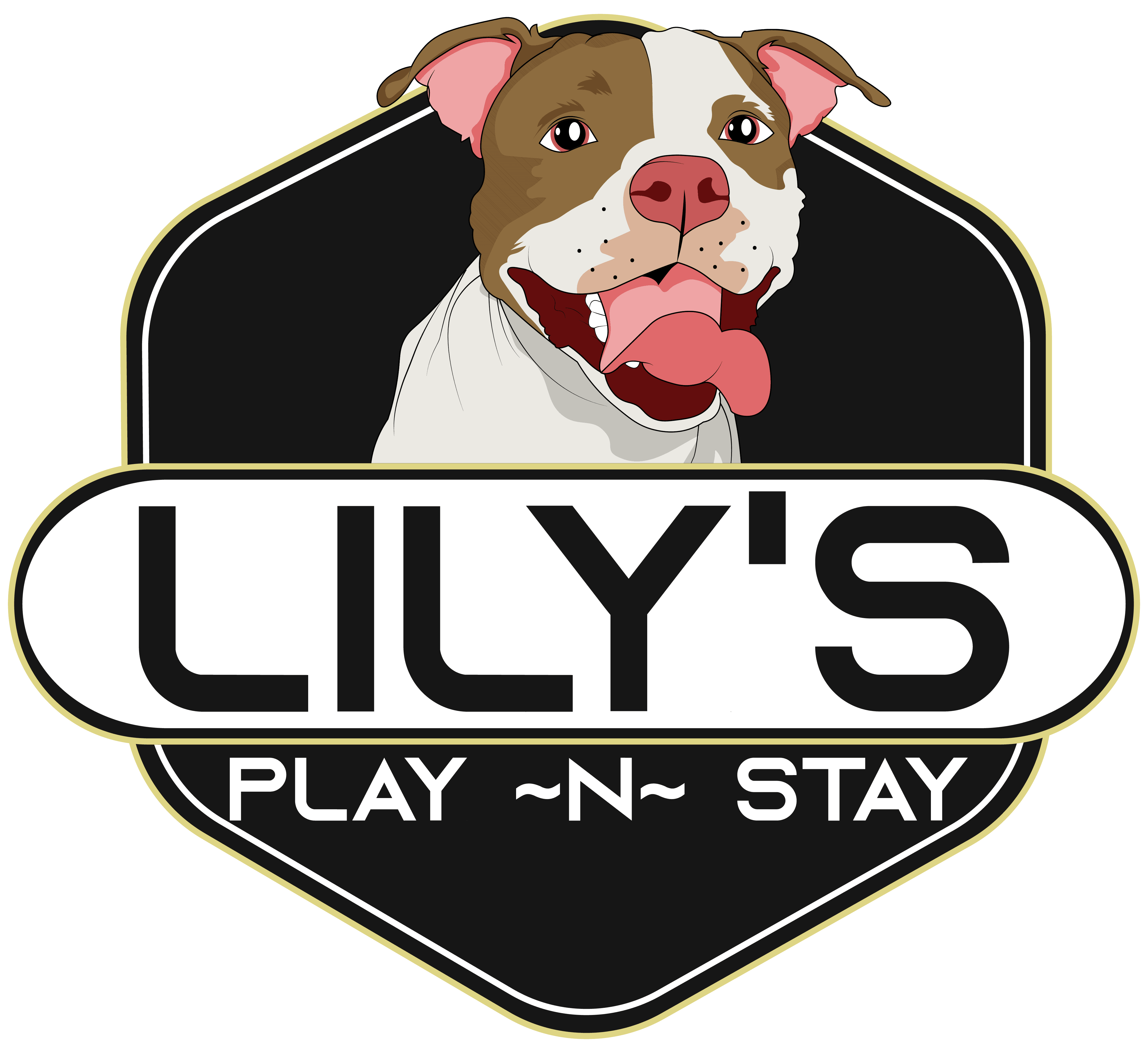 Lily's Play-N-Stay