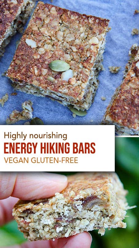 Nutiritous vegan energy bars for hiking and on the go snacks