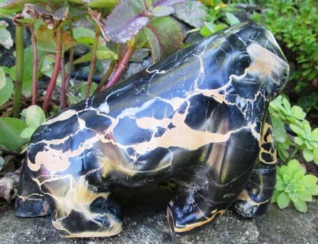 Le Gorille, marbre Portor