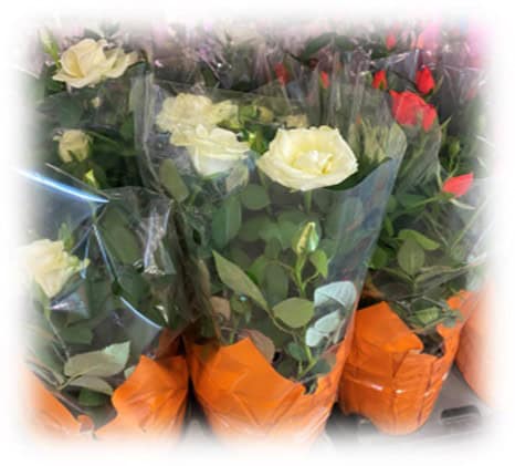 Bouquets of white roses wrapped in plastic with orange bases.