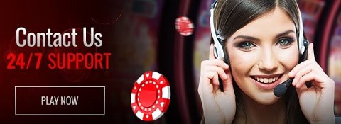 Playamo Casino support - live chat, email, FAQ