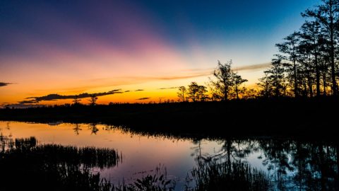 Cypress trees silhouetted against a vivid orange and purple sunset reflected in a still coastal wetland — southeastern U.S. ephemeral pond and pine savanna habitat critical to endangered species like the dusky gopher frog (Rana sevosa) and subject to Endangered Species Act protections and EDGE Engineering environmental compliance consulting.