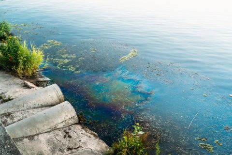 Oil sheen and hydrocarbon contamination visible on a waterway surface near a concrete drainage structure — surface water pollution requiring environmental site assessment, spill response, remediation planning, and regulatory reporting consulting by EDGE Engineering.
