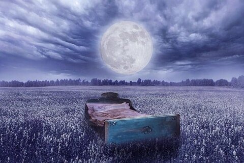 Traumwirklichkeit - ein Bett auf einer Wiese, der Vollmond