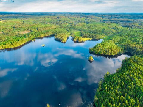 Aerial view of a pristine lake surrounded by dense green forest with small wooded islands — natural aquatic and wetland habitat requiring environmental impact assessment, Section 404 permitting, and ecological protection services by EDGE Engineering.