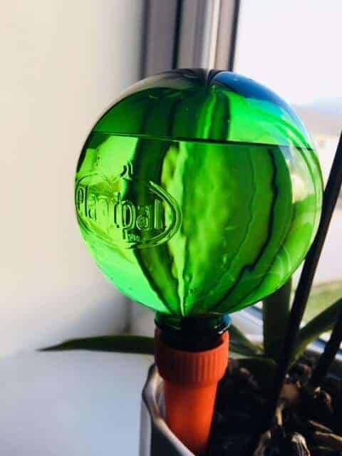 Planpal globe in use