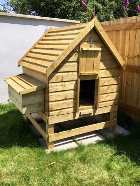 Our Weekend Project - Chicken Coop Building