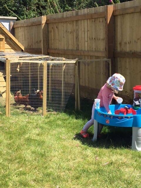 Our Weekend Project - Chicken Coop Building
