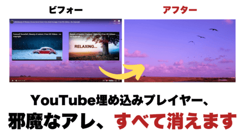 KillerPlayer レビュー