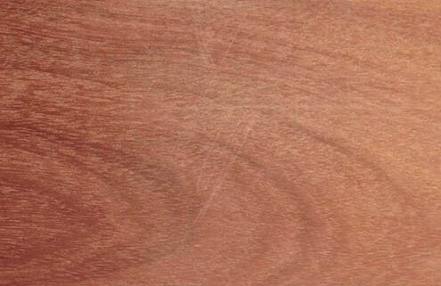 Madera Bálsamo para vigas y estructuras en Cuenca