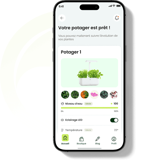 Mockup de l'application cultive