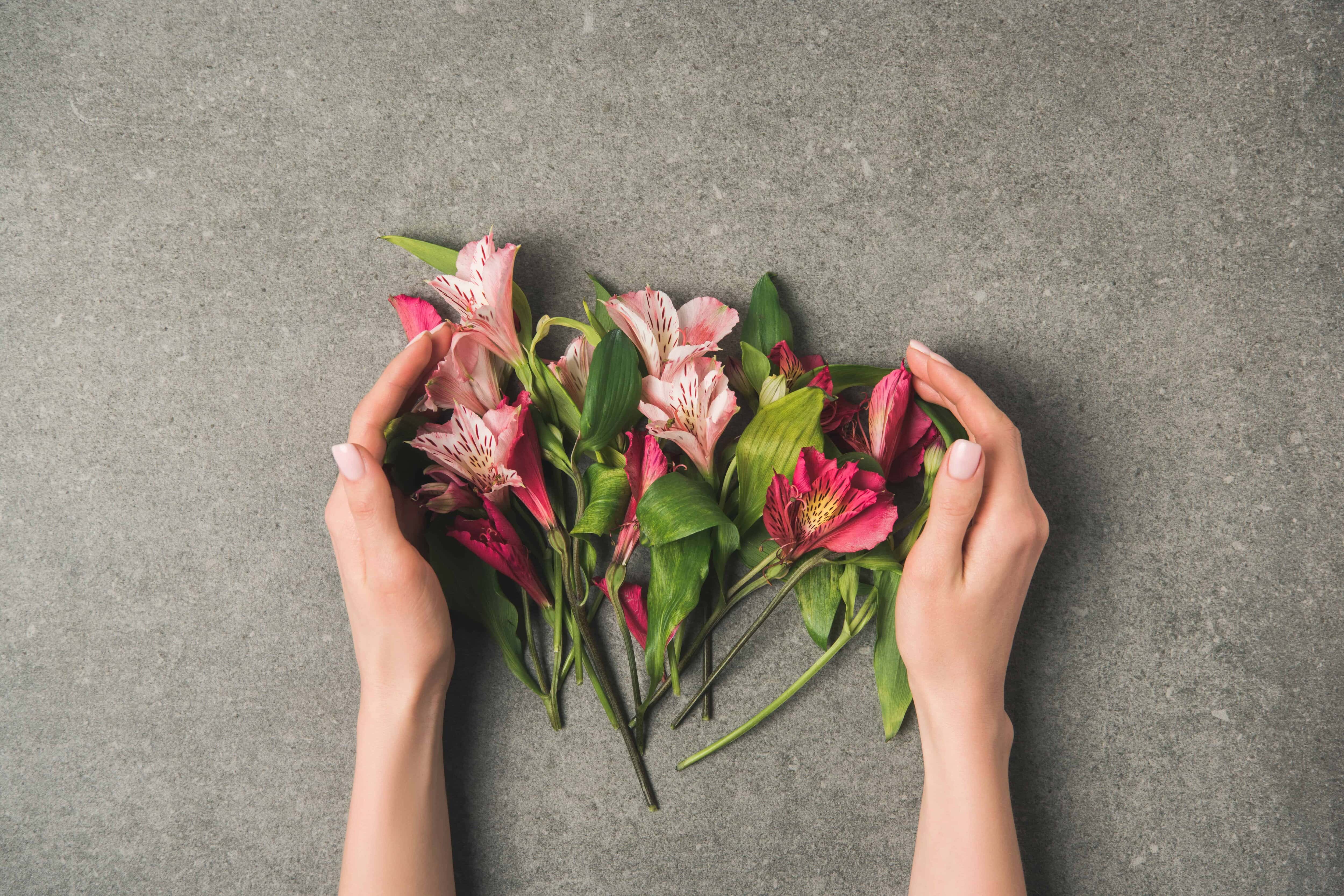 two ladies hands holding beautiful lilies