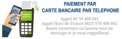 paiement carte bancaire par téléphone