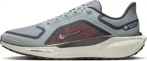 nike pegasus 41 GORE TEX