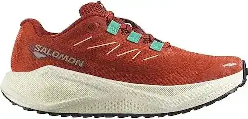 Salomon Aero Blaze