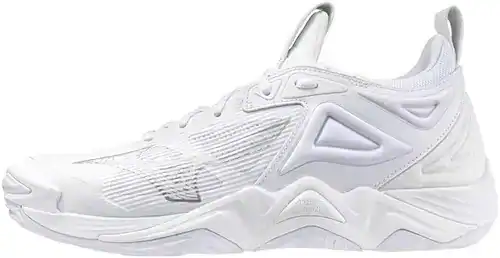 Mizuno Wave Momentum 3