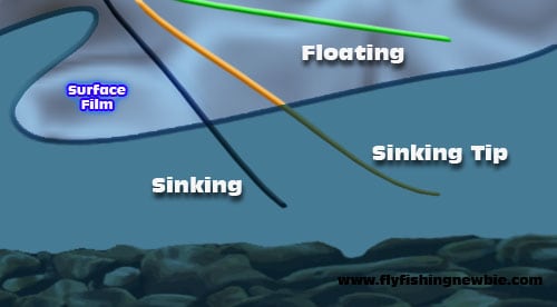 https://noseeumlodge.com/wp-content/uploads/2016/05/float-sink-line.jpg