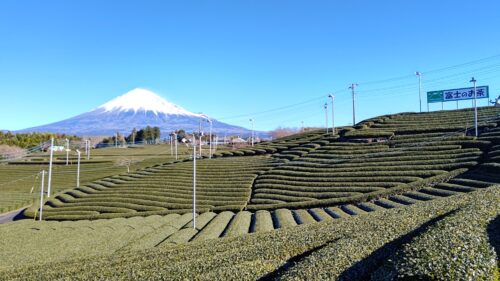 富士市 土鍋炊きごはん 【米えにし】ダヤンテールblog