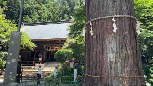 河口湖周辺|喧騒を離れ『河口浅間大社』周辺でかき氷とランチ!ダヤンテールblog
