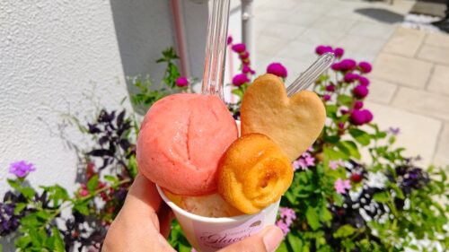 【ご当地アイス】ダヤンテールblog