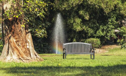 GardenBenchSunnyDay