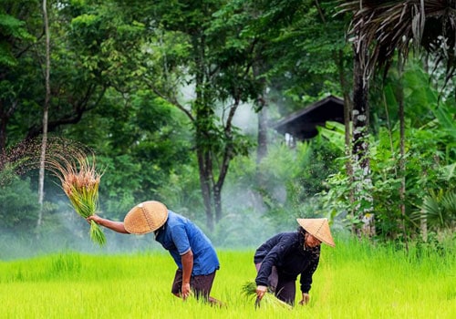 asia Bike tours