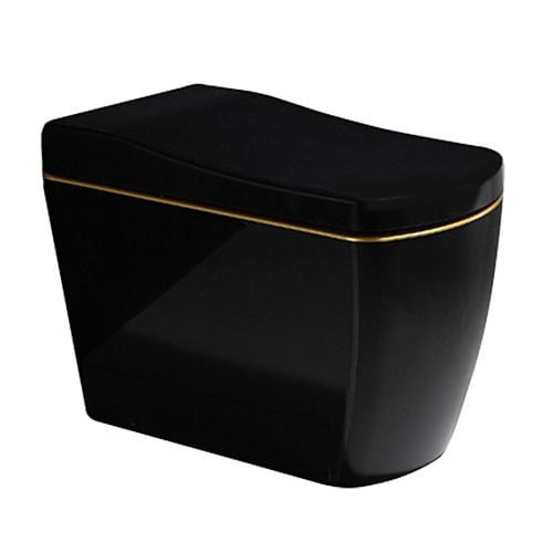 bidetry SX black bidet toilet suite exterior