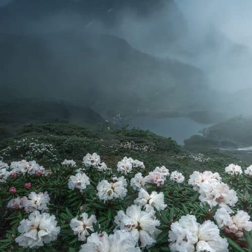 Nanjilo 3-Day Private Expedition: The Hidden Glacial Lakes & Meili Snow Mountain