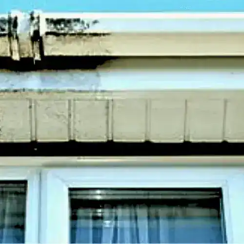 Before and after exterior cleaning by Williams Exterior Shine. Pressure washing, soft washing & gutter cleaning in action.